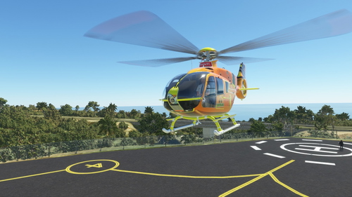 H135 koala bear livery (fictional)