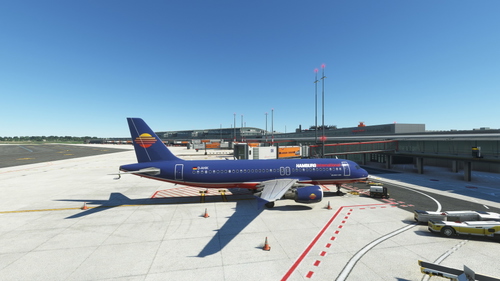 Hamburg International D-AHIK | 8K | Cabin