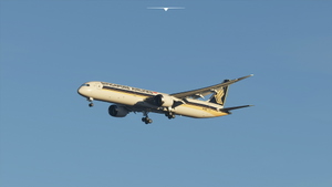 Heavy Division 787-10 Singapore Airlines thumbnail 5
