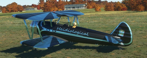 Heidiological's Paint