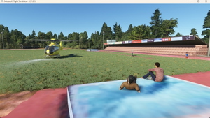 HEMS-Denmark thumbnail 3