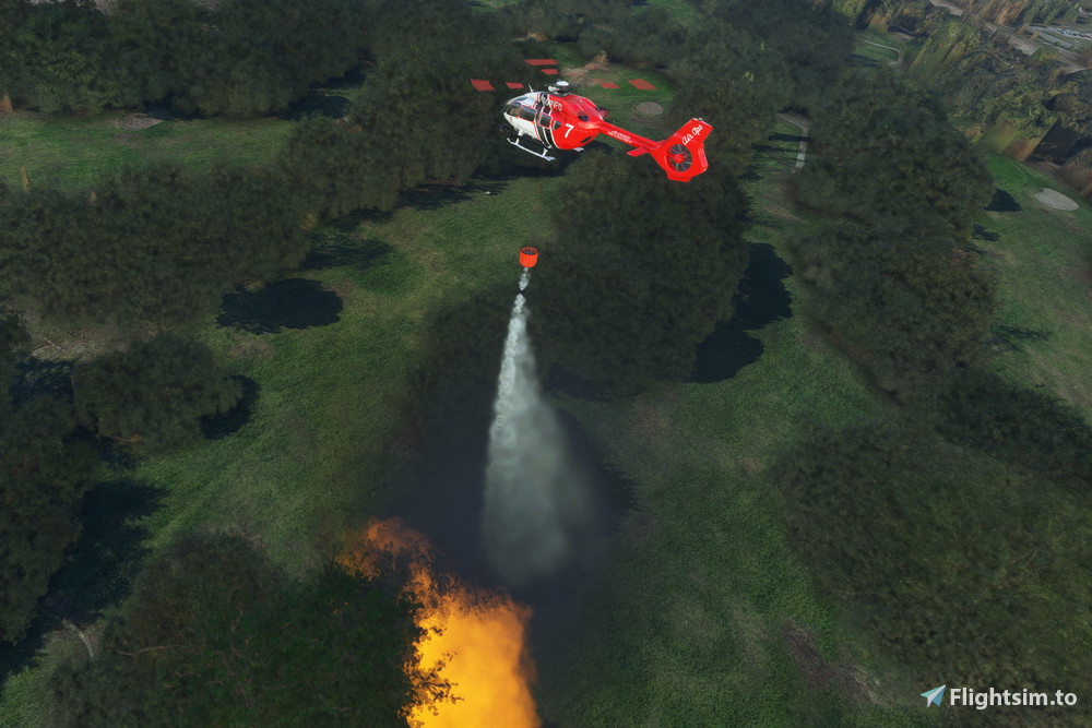 N307fd HPG Airbus H145 BP/AP Livery
