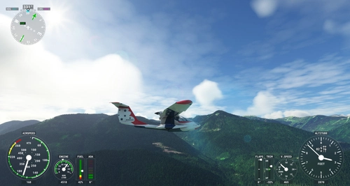 Icon A5 Thunderbird Livery