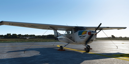 IFA C172 Livery (D-ECFZ) (WBSim C172)