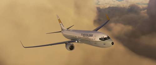 Indonesian Air Force (TNI AU) | 737-800 A-7308