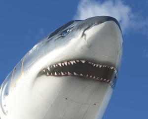 iniBuilds A310 Tiburon / Shark 4K (fictional)   thumbnail 2