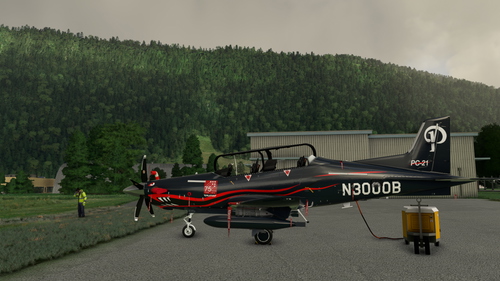 Iris Simulations - Pilatus PC-21 N3000B "What If"
