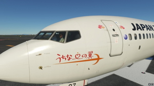 JAPAN TRANSOCEAN AIR (JA07RK) thumbnail 2