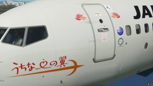 JAPAN TRANSOCEAN AIR (JA11RK) "world natural heritage" thumbnail 9