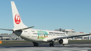 JAPAN TRANSOCEAN AIR (JA11RK) "world natural heritage" thumbnail 7