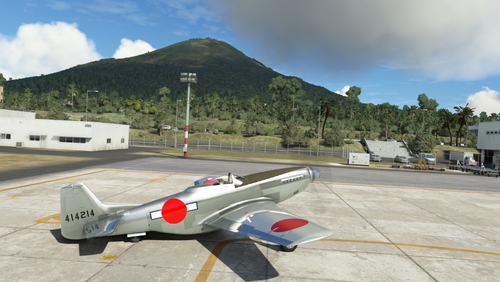 Japanese Captured P-51D Mustang