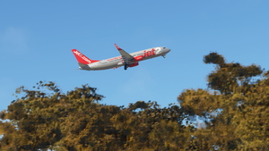 Jet2.com (4-Pack) - PMDG 737-800 thumbnail 10