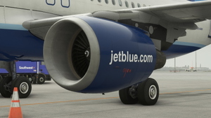 JetBlue Blueberries | Fenix Simulations A320 | AIRFRAME + CABIN thumbnail 13