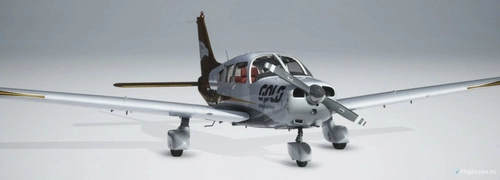 Just Flight PA28A Warrior II JF - Gold Virtual Airlines 10 Anos