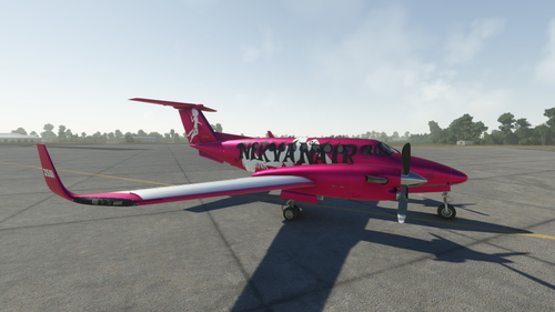 KingAir350 - Nirvanair