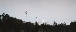 KJFK RLLS/LDIN Approach Lights for Canarsie/Parkway Visual thumbnail 4