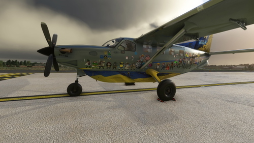 Kodiak 100 NAFO Fella Ukraine Defenders Livery