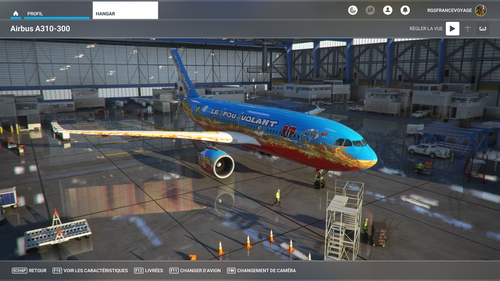 LE FOU VOLANT LIVREES DE A310-300 fAIT PAR RGSfrancevoyage