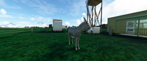 LFQJ Maubeuge Élesmes thumbnail 16