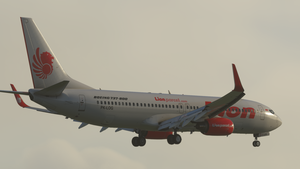 Lion Air (Duo-Pack) - PMDG 737-800 thumbnail 7
