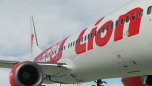 Lion Air (PK-LHH 'Bukalapak') - PMDG 737-900ER thumbnail 5