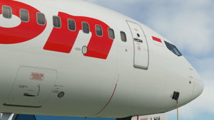 Lion Air (PK-LHH 'Bukalapak') - PMDG 737-900ER thumbnail 8