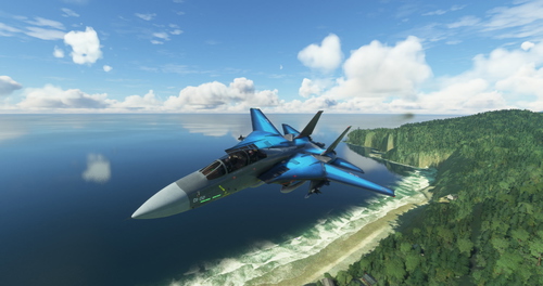 Life is Strange DC Designs F-14