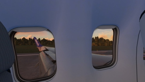Livery Belavia(new) for PMDG 737-800 thumbnail 2