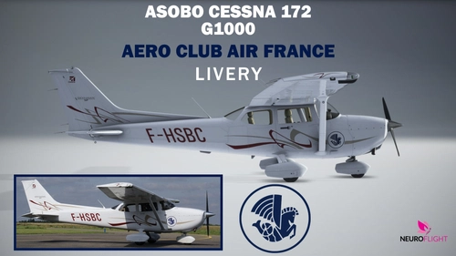 Livery Cessna 172(G1000) F-HSBC -Aeroclub AIR FRANCE