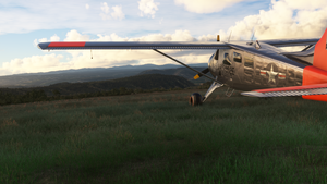 Livery - / DHC2-Beaver -- USAF -- thumbnail 3
