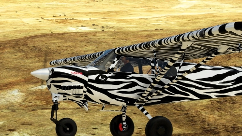 Livery Gotgravel-monster-nxcub-zebre-V1.1.0 by Newdeclic