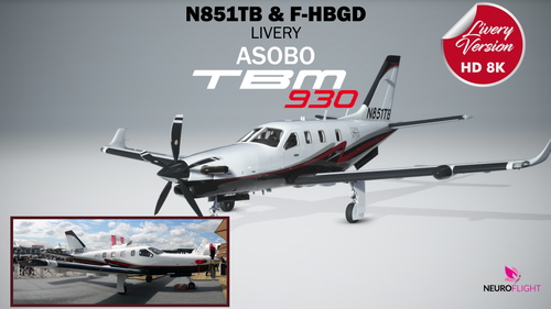 Livery of TBM 850 , registrations N851TB & F-HBGD