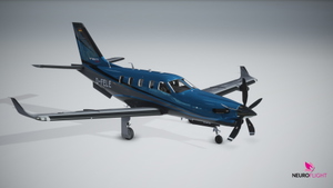 Livery of TBM 930 Registration D-FELE thumbnail 3