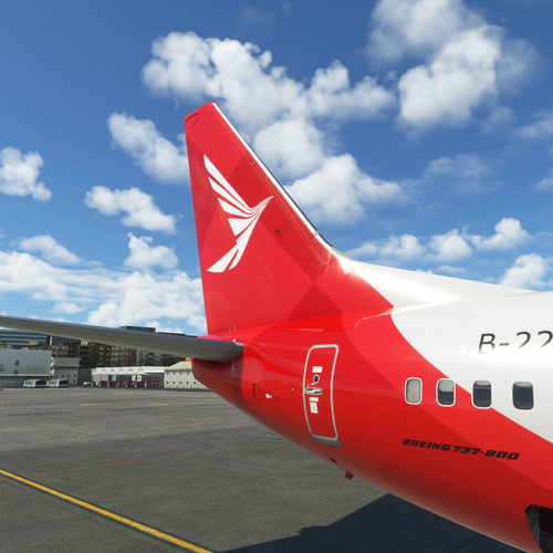 [Livery] PMDG 737-800 Ruili Airlines (B-222A - 2022)