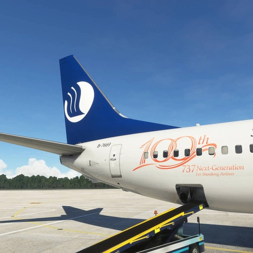 [Livery] PMDG 737-800 Shandong Airlines 100th (B-7669 - 2022)
