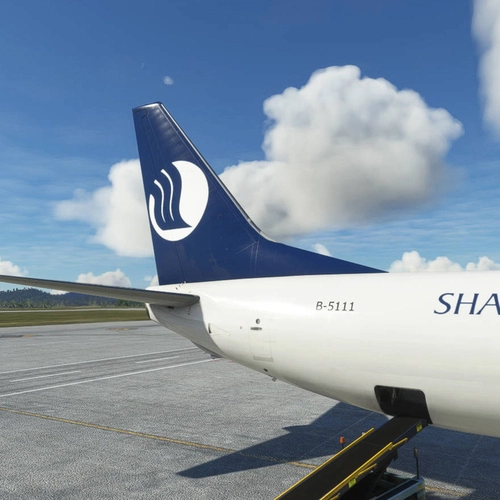 [Livery] PMDG 737-800 Shandong Airlines BCF-BW (B-5111 - 2022)
