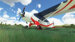 LiveryPack - / DHC2-Beaver -- Skymafia -- thumbnail 7