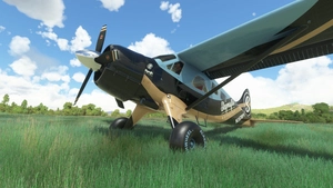 LiveryPack - / DHC2-Beaver -- Skymafia -- thumbnail 3