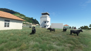 LPCR - Corvo Airport - Azores Archipelago thumbnail 6