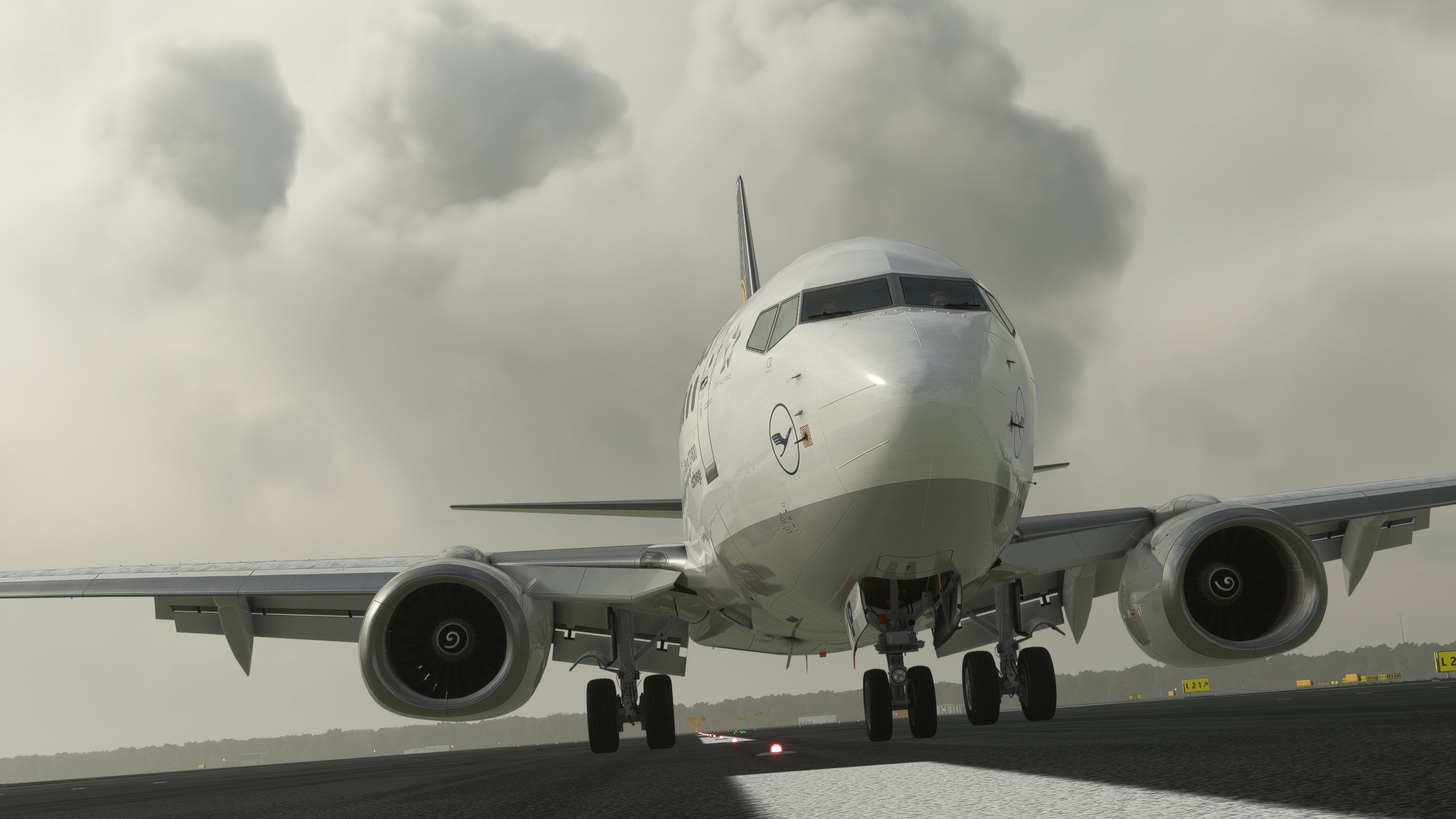 Lufthansa 737-600 D-ABXP Eschwege for Microsoft Flight Simulator