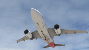 LVFR A318-111CEO QANTASLINK 2016 Silver Roo Livery (Fictional) thumbnail 3