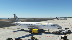 LVFR A319 VUELING FAMILY thumbnail 1