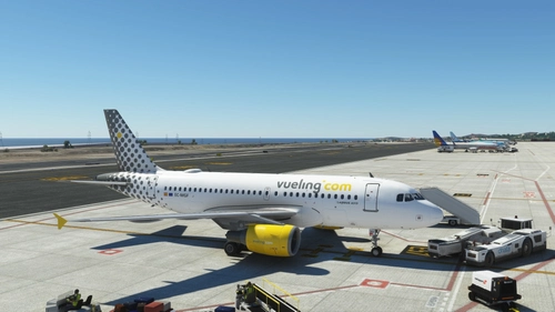LVFR A319 VUELING FAMILY