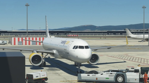 LVFR a321neo Vueling EC-NYC FBW compatibility