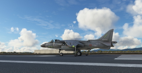 McDonnell Douglas AV-8B Harrier II Italian Navy GAI "Wolves" MM7214 #08