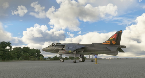 McDonnell Douglas AV-8B Harrier II USMC VMAT-203