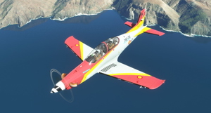 MF_PC-21 SAF thumbnail 4