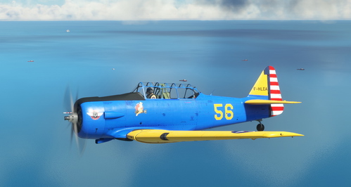 MF_T-6D_F-HLEA