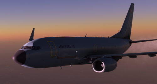 MF_PMDG 737BDSF_FAF