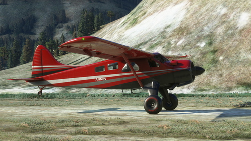 Microsoft DHC-2 Beaver - Red Bush Livery